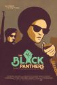 The Black Panthers Vanguard of the Revolution film poster